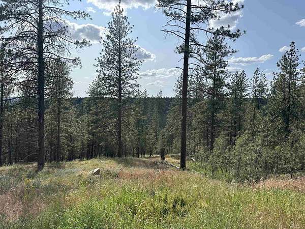 12.3 Acres of Recreational Land for Sale in Deer Park, Washington
