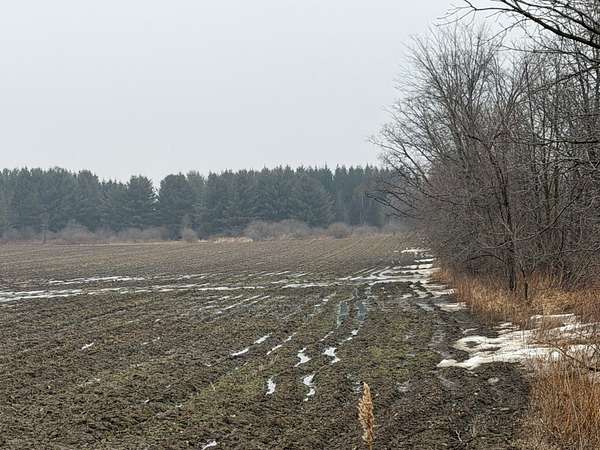 80 Acres of Land for Sale in Snover, Michigan