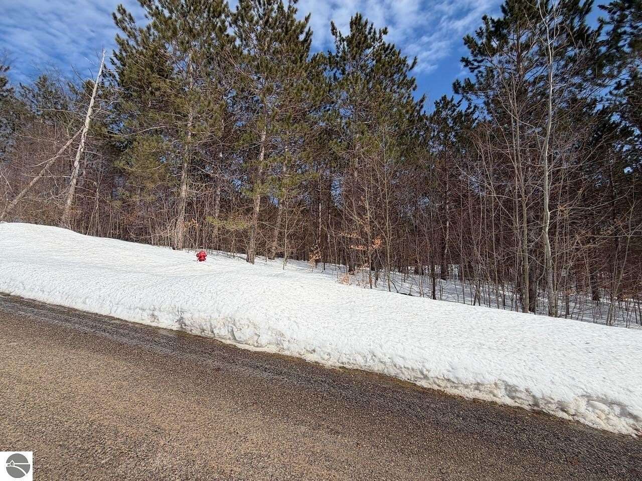 0.52 Acres of Residential Land for Sale in Bellaire, Michigan