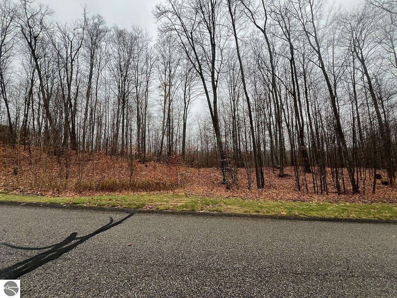 0.42 Acres of Residential Land for Sale in Bellaire, Michigan