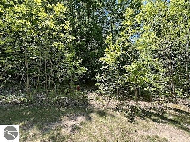 0.42 Acres of Residential Land for Sale in Bellaire, Michigan