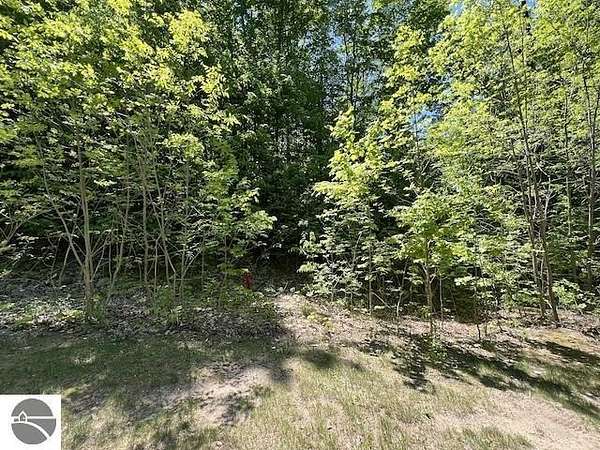 0.42 Acres of Residential Land for Sale in Bellaire, Michigan