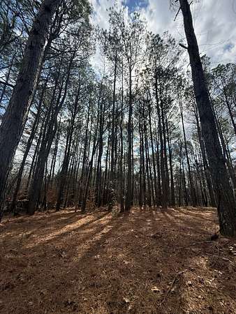 5 Acres of Residential Land for Sale in Morrison, Tennessee