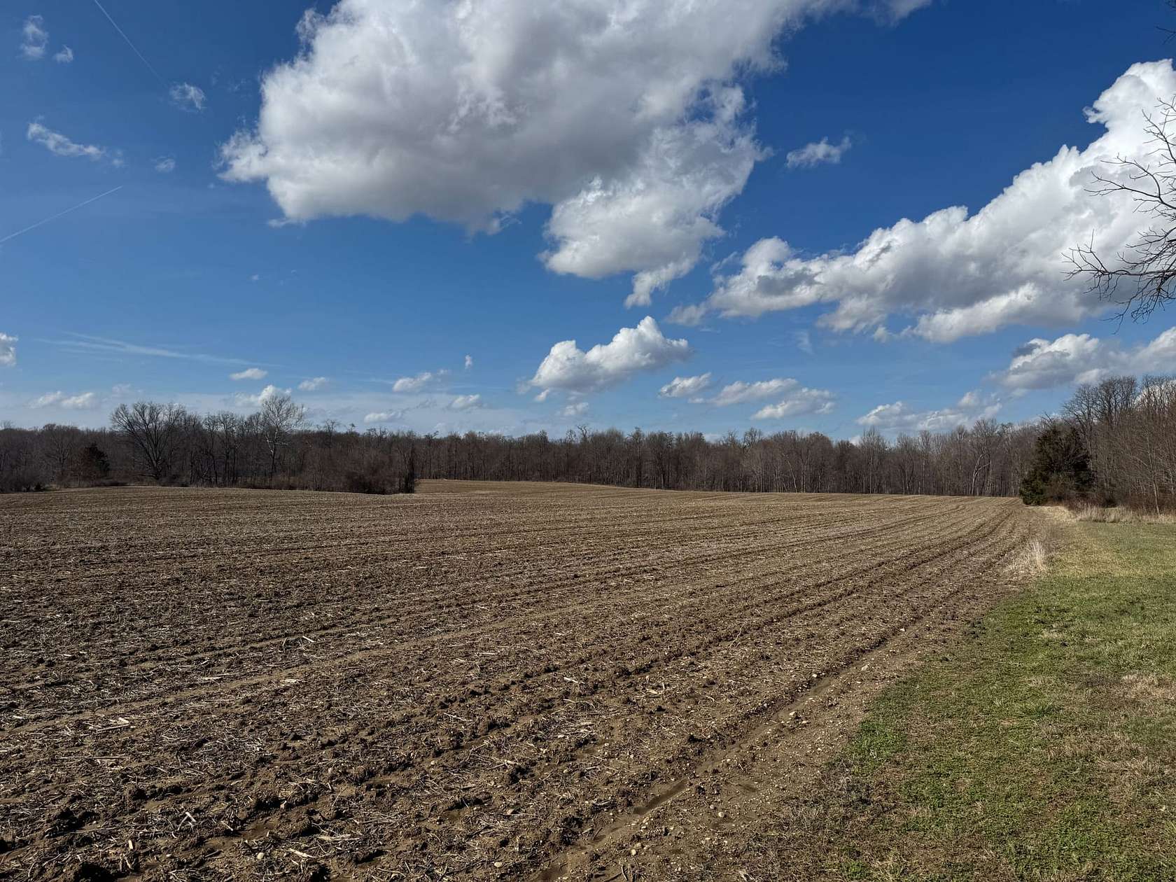 53.6 Acres of Agricultural Land for Sale in Montezuma, Indiana