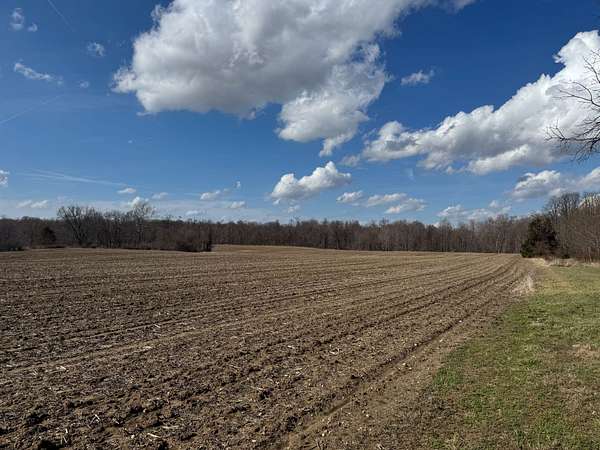 53.6 Acres of Agricultural Land for Sale in Montezuma, Indiana