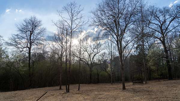13 Acres of Recreational & Residential Land for Sale in Sterrett, Alabama