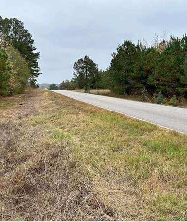 28 Acres of Recreational Land for Sale in Vernon, Alabama