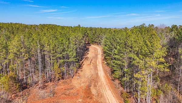 7 Acres of Residential Land for Sale in Oak Bowery, Alabama
