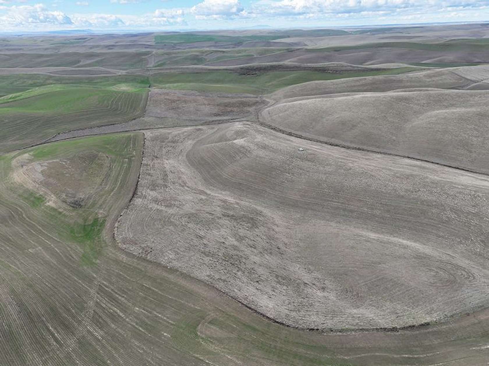 160 Acres of Land for Sale in Walla Walla, Washington