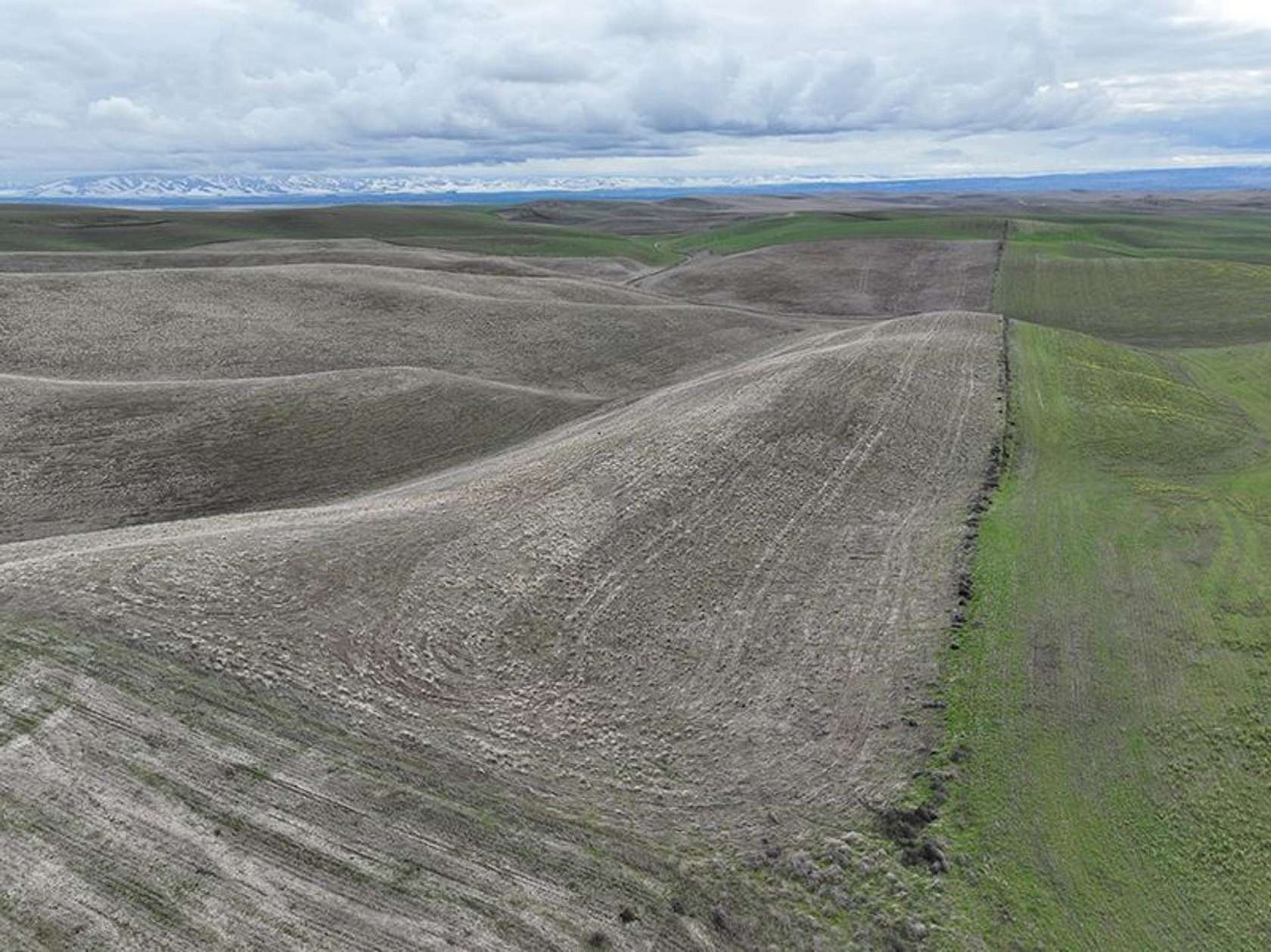 160 Acres of Land for Sale in Walla Walla, Washington