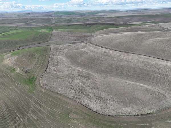 160 Acres of Land for Sale in Walla Walla, Washington