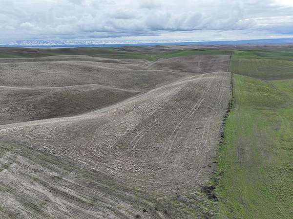 160 Acres of Land for Sale in Walla Walla, Washington