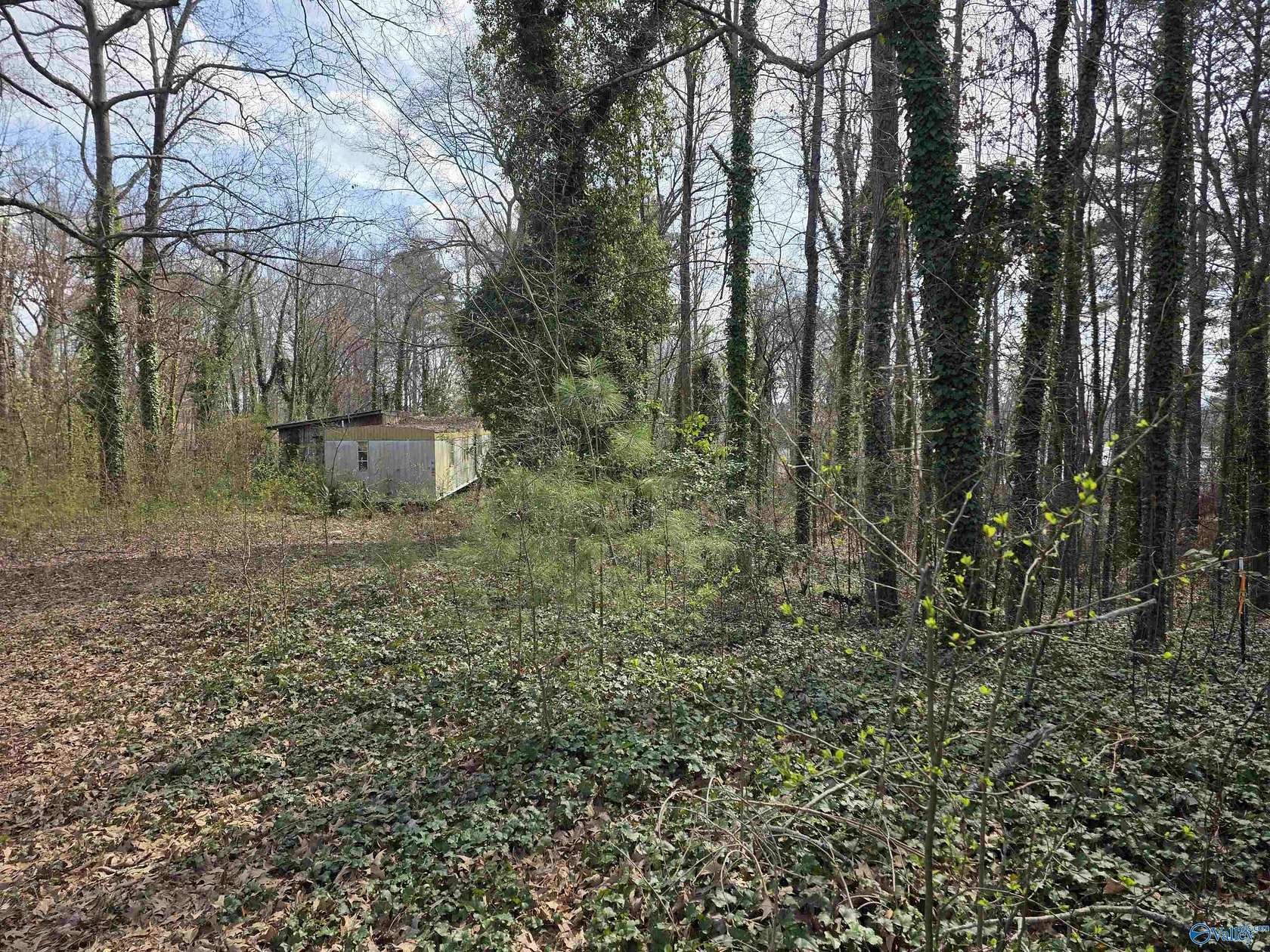 0.92 Acres of Residential Land for Sale in Centre, Alabama