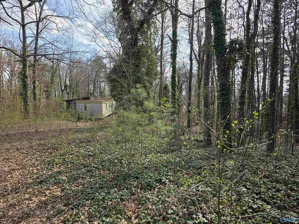 0.92 Acres of Residential Land for Sale in Centre, Alabama