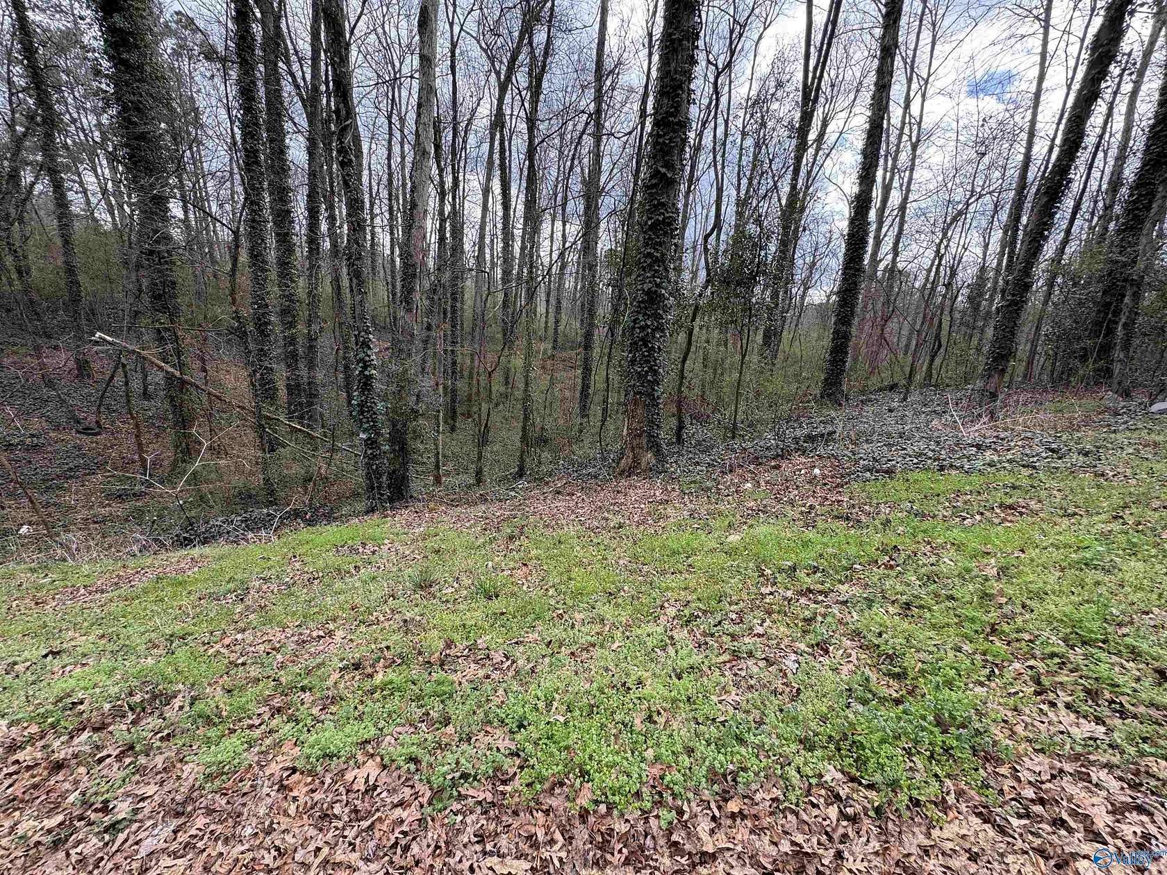 1.5 Acres of Land for Sale in Albertville, Alabama