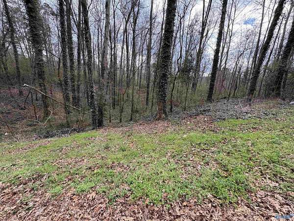 1.5 Acres of Land for Sale in Albertville, Alabama