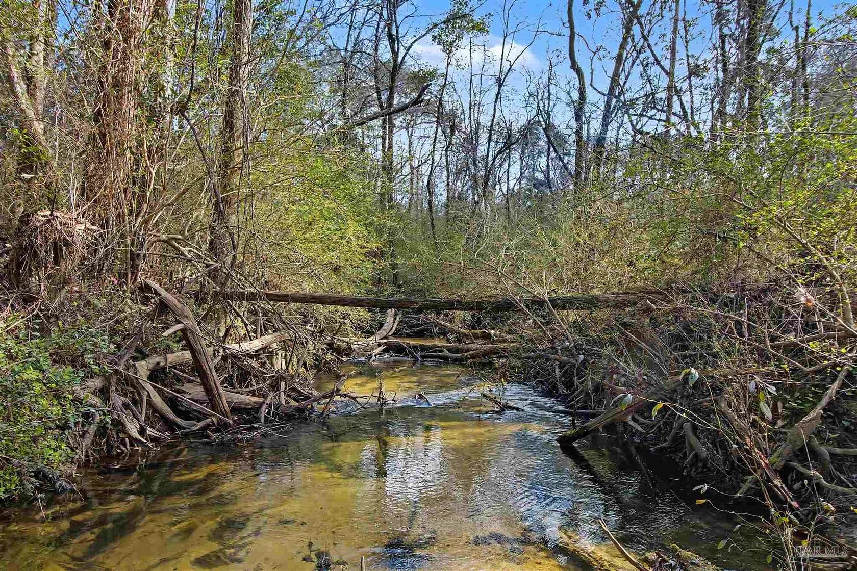 20 Acres of Recreational & Residential Land for Sale in Elberta, Alabama
