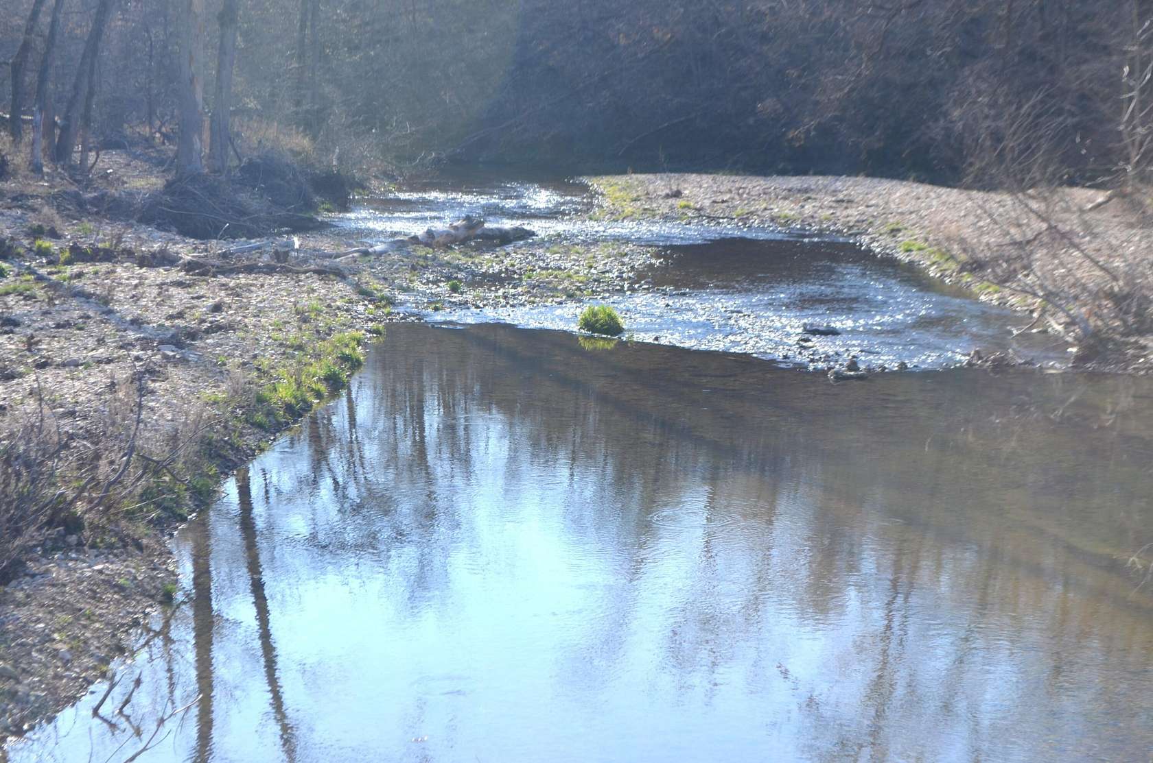 37 Acres of Recreational & Residential Land for Sale in Ava, Missouri