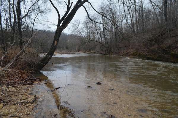 37 Acres of Recreational & Residential Land for Sale in Ava, Missouri