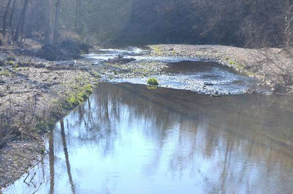 37 Acres of Recreational & Residential Land for Sale in Ava, Missouri