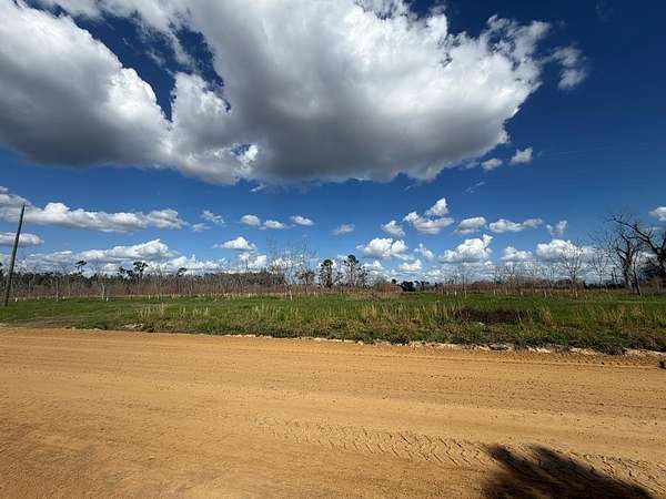 3 Acres of Residential Land for Sale in Naylor, Georgia