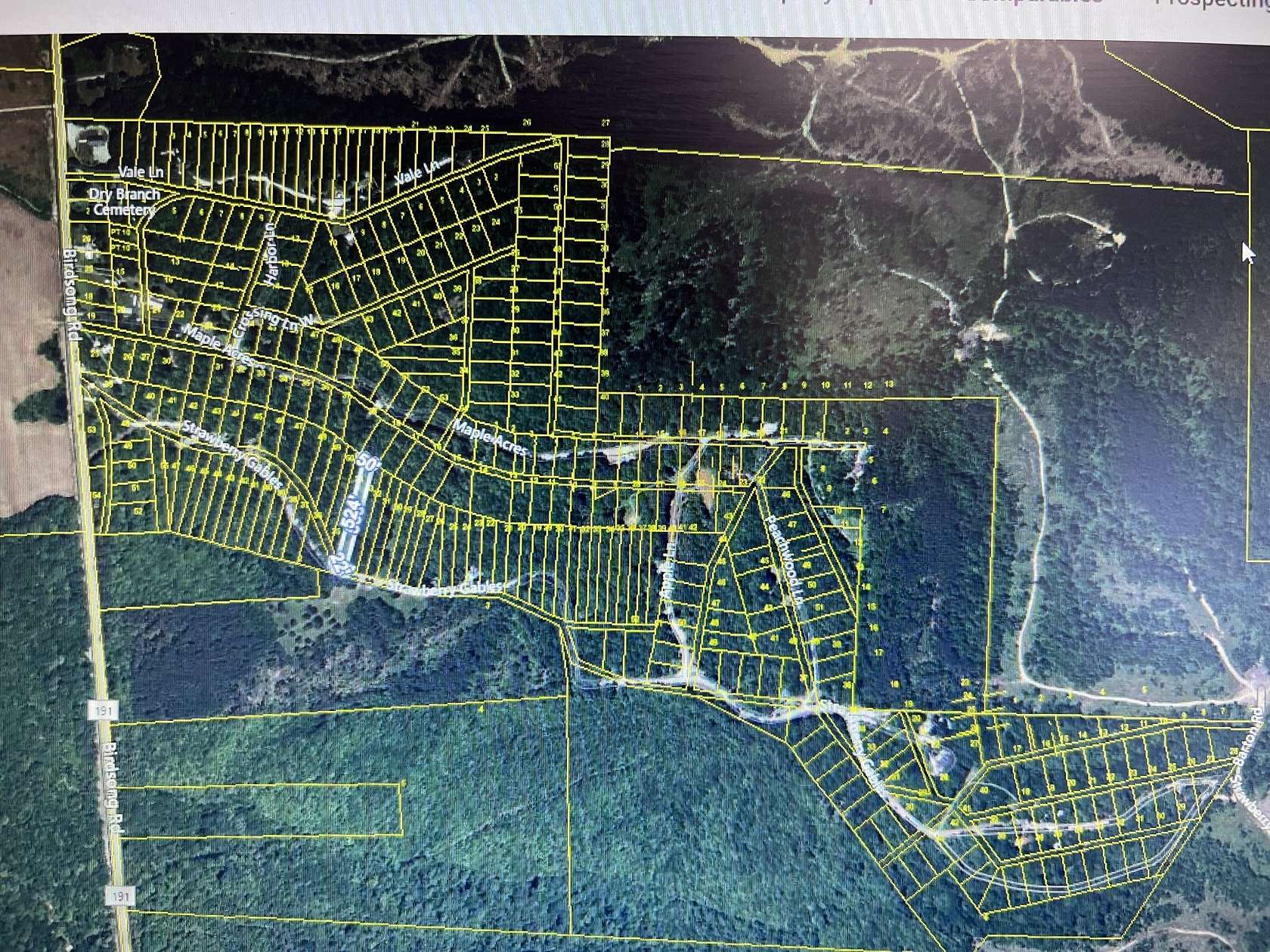 46.9 Acres of Land for Sale in Holladay, Tennessee