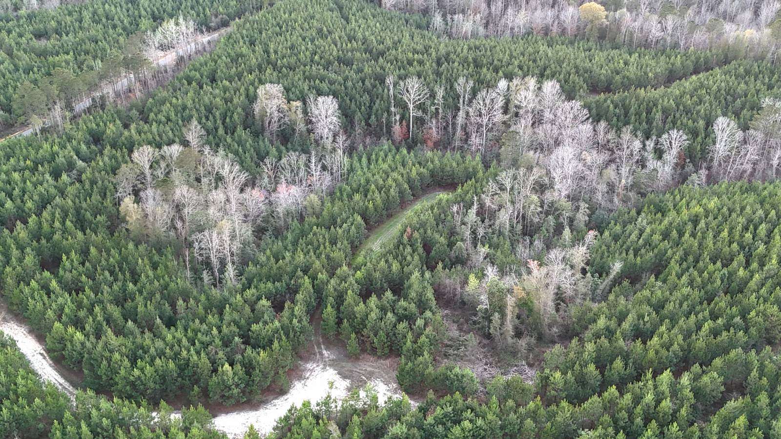 159 Acres of Recreational Land for Sale in Sweet Water, Alabama