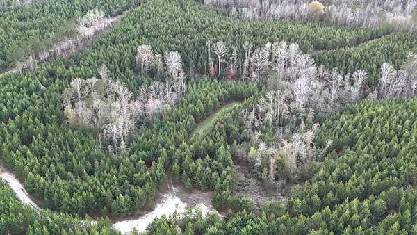 159 Acres of Recreational Land for Sale in Sweet Water, Alabama