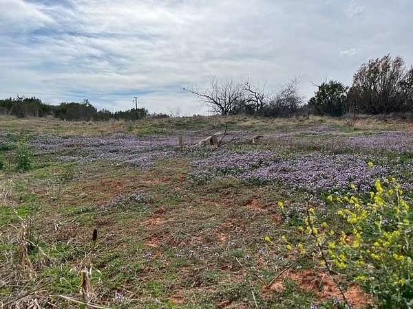 25.8 Acres of Recreational & Residential Land for Sale in Abilene, Texas