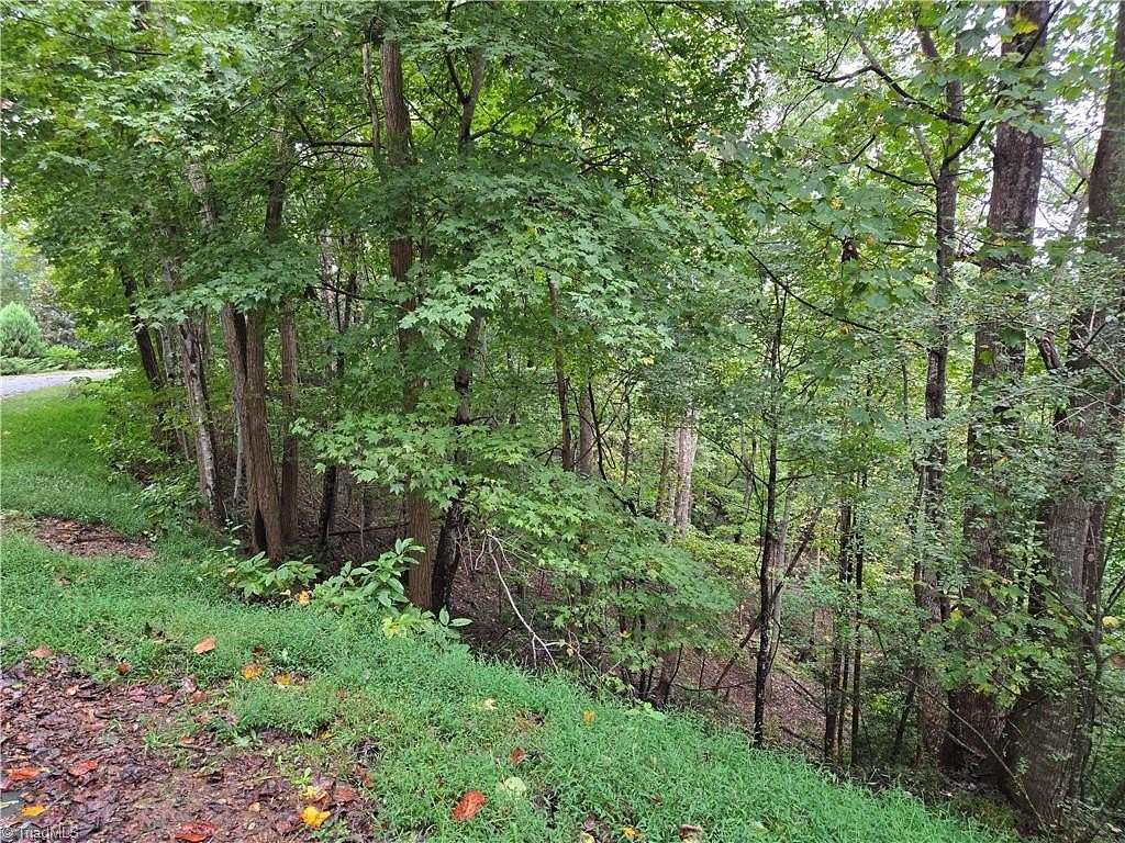 6.2 Acres of Residential Land for Sale in Lake Lure, North Carolina