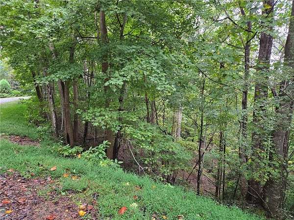 6.2 Acres of Residential Land for Sale in Lake Lure, North Carolina