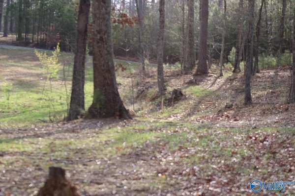 1 Acre of Residential Land for Sale in Mentone, Alabama