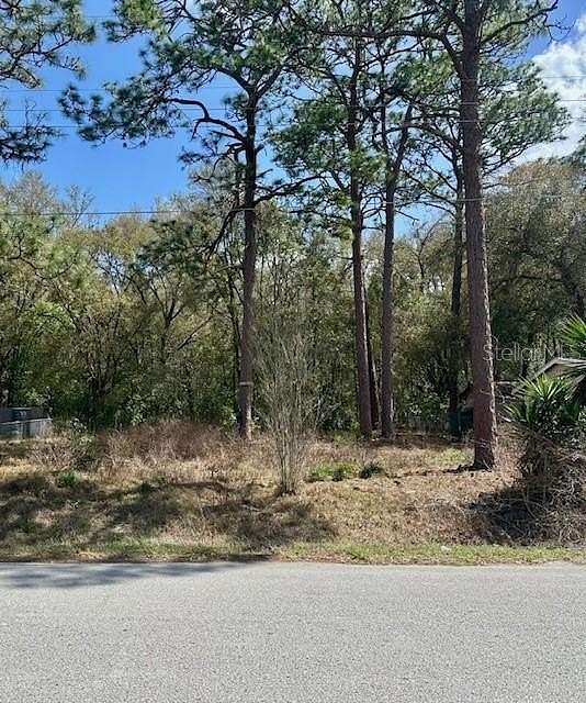 0.19 Acres of Residential Land for Sale in Belleview, Florida