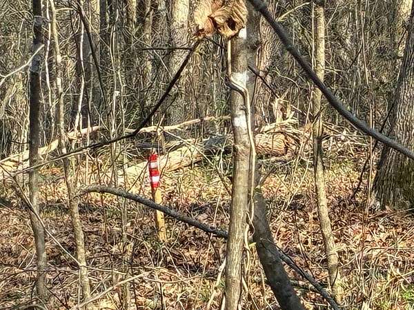 1.78 Acres of Residential Land for Sale in Birchwood, Tennessee