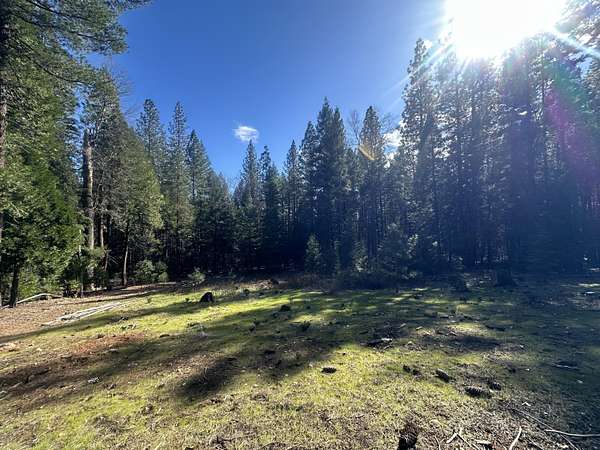 5 Acres of Residential Land for Sale in Oak Run, California