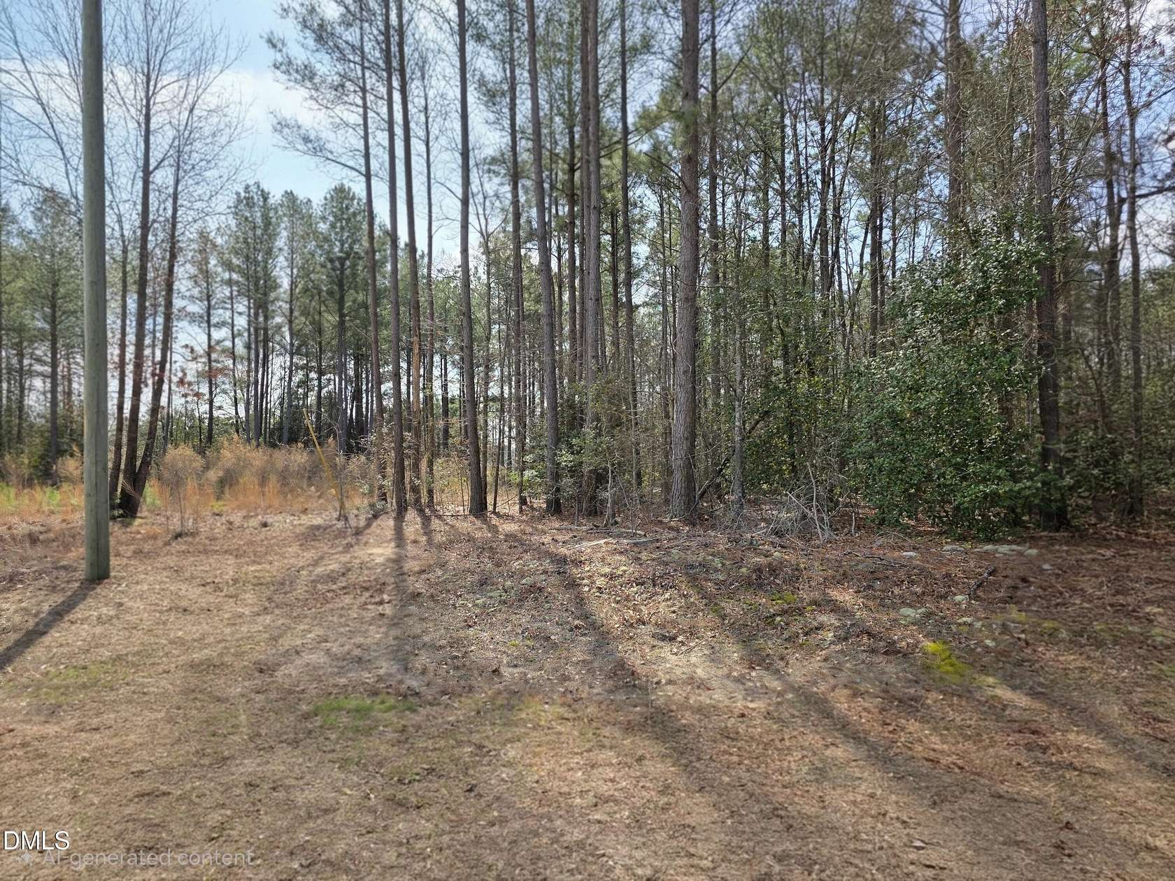 1 Acre of Residential Land for Sale in Dunn, North Carolina
