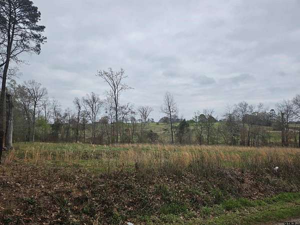 2.36 Acres of Land for Sale in Troup, Texas