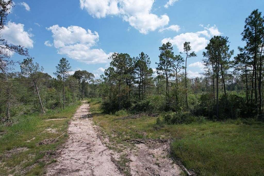 24 Acres of Recreational & Residential Land for Sale in Zavalla, Texas