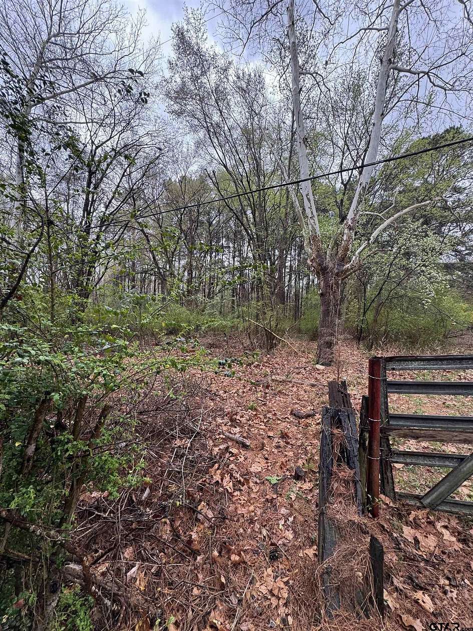 0.17 Acres of Residential Land for Sale in Marshall, Texas