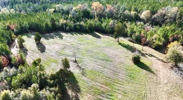77 Acres of Recreational Land with Home for Sale in Forest Home, Alabama
