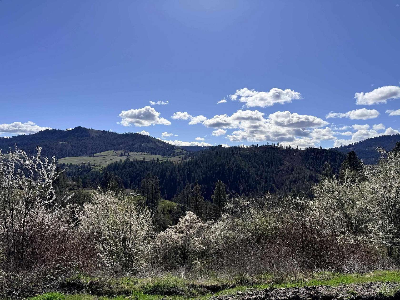 13.4 Acres of Land for Sale in Lenore, Idaho