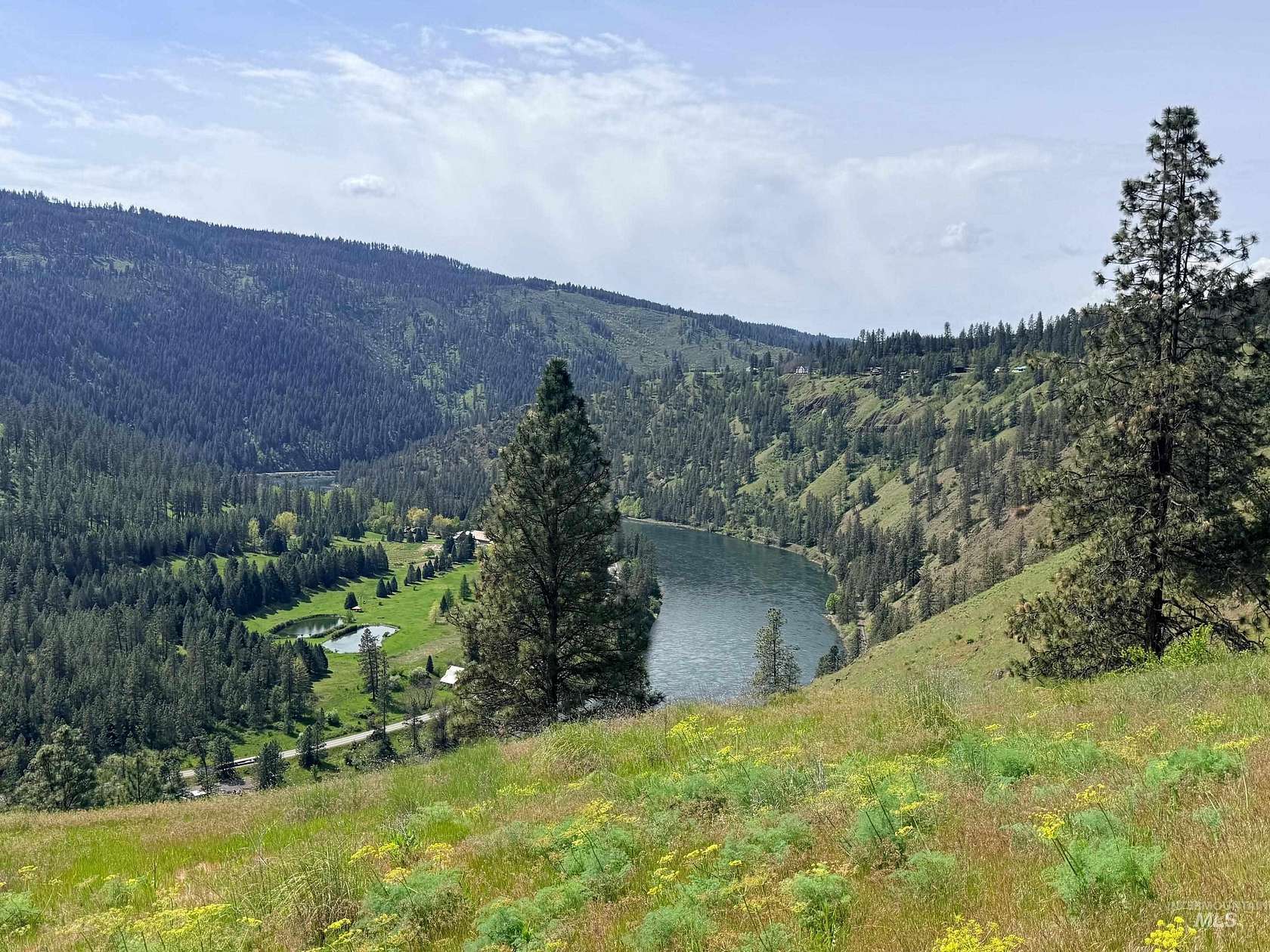 13.4 Acres of Land for Sale in Lenore, Idaho