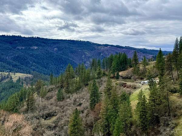 13.4 Acres of Land for Sale in Lenore, Idaho