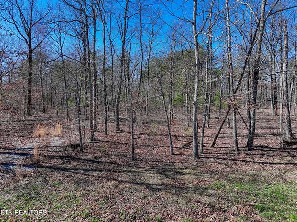 1.17 Acres of Residential Land for Sale in Pikeville, Tennessee