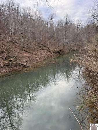 228 Acres of Recreational Land for Sale in Princeton, Kentucky