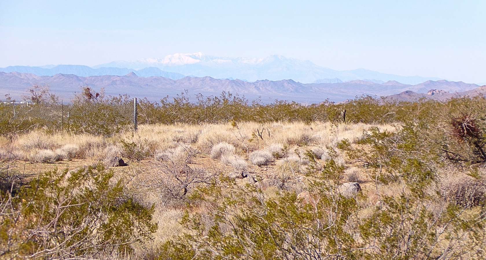 2.5 Acres of Residential Land for Sale in Dolan Springs, Arizona