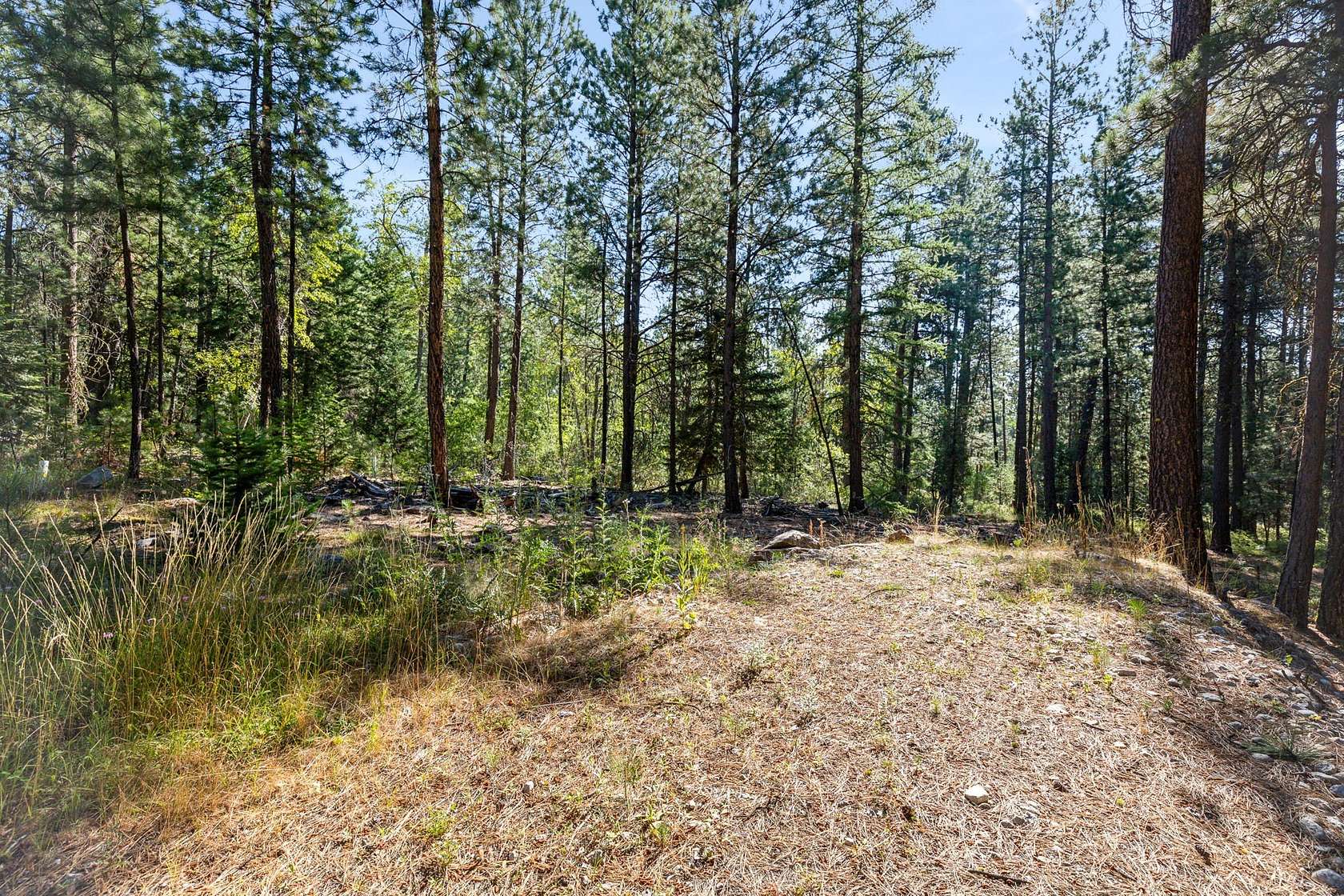 5 Acres of Residential Land for Sale in Stevensville, Montana
