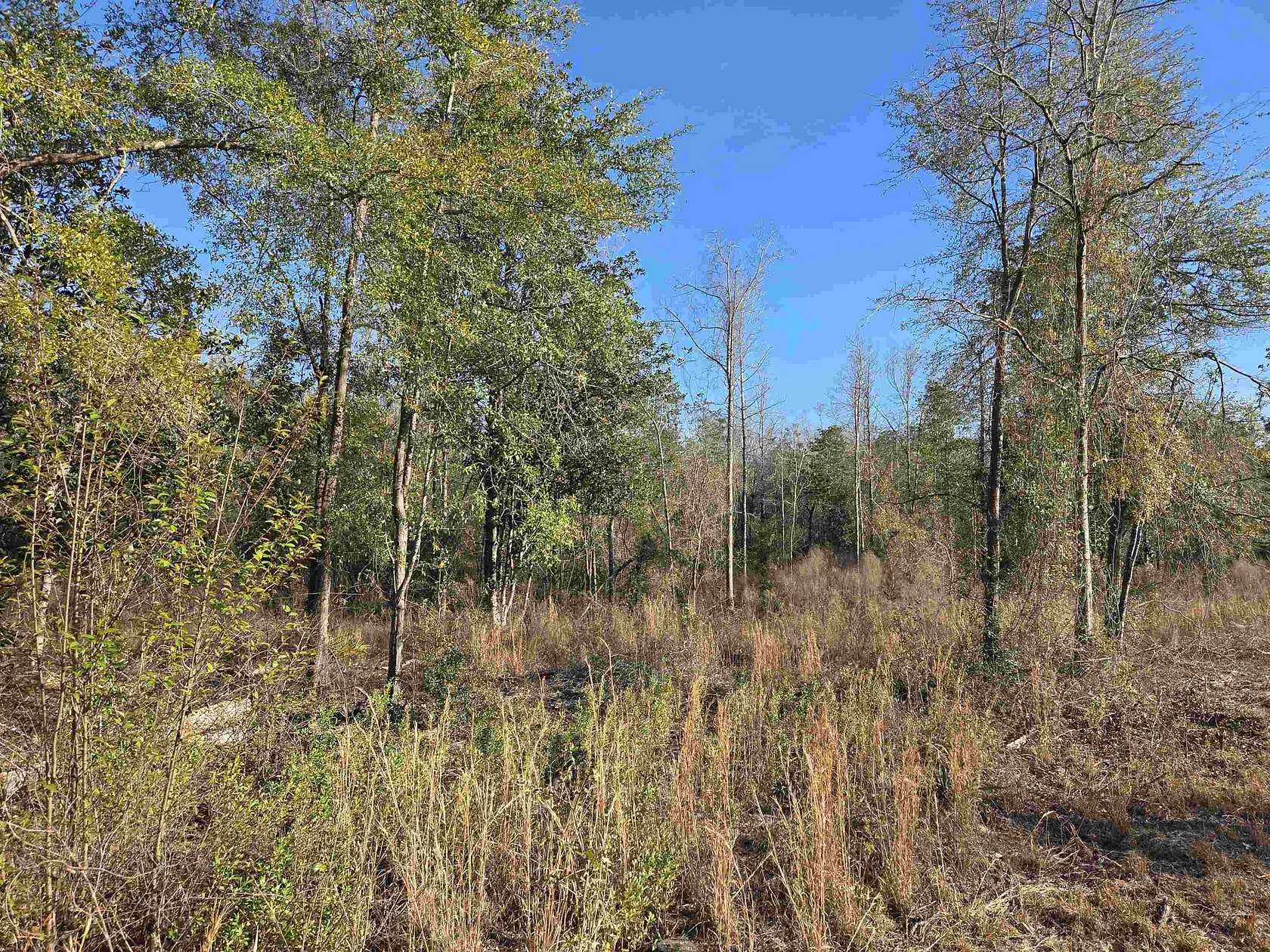 26 Acres of Recreational Land for Sale in Hosford, Florida