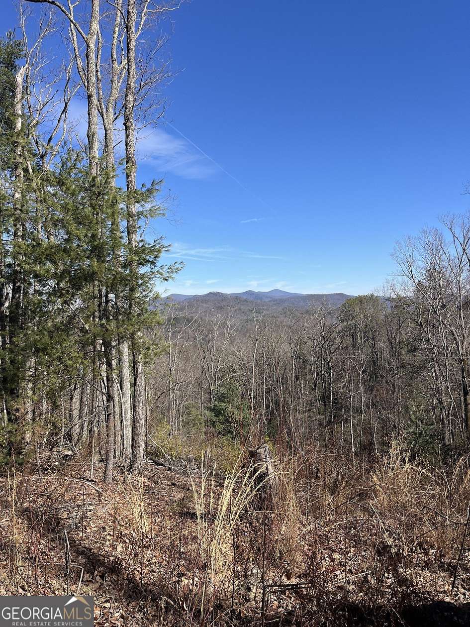 3.22 Acres of Land for Sale in Tiger, Georgia