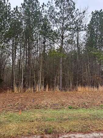 2 Acres of Land for Sale in Lincolnton, Georgia